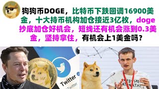 狗狗币DOGE，比特币下跌回调16900美金，十大持币机构加仓接近3亿枚，doge抄底加仓好机会，短线还有机会涨到0.3美金，坚持拿住，有机会上1美金吗？马斯克狗狗币|DOGE行情分析!