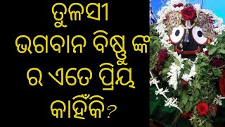 ତୁଳସୀ ଭଗବାନ ବିଷ୍ଣୁ ଙ୍କ ର ଏତେ ପ୍ରିୟ କାହିଁକି?|Kartika Purana|#tulasi #vishnu #jalandhar #mahadev