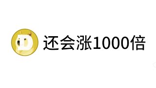 很显然狗狗币还会涨1000倍、超越比特币，你还没看懂吗🤣