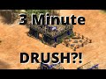 How To Do The FASTEST Drush Possible In Aoe2 DE!