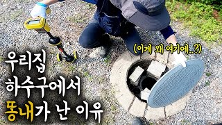 하수구 냄새가 났던 이유를 드디어 알게 됐네요