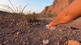 105 degrees in Kofa, AZ. Lonely little bird needs water.