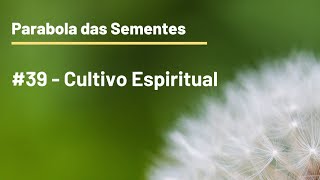 39 - Cultivo Espiritual  Estudo Espirita  com Wallace Valera