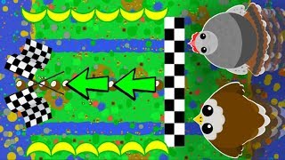 MOPE.IO RACES TURKEY vs. EAGLE! NEW MINI GAME IDEA / Funny Trolling All Animals (Mope.io Gameplay)