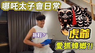 虎爺降駕打蟑螂 ！？差點傷及無辜 ??   [哪吒太子會生活VLOG]