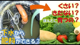 【下水汚泥を使って畑・花壇づくりPart１】下水汚泥肥料ってなに？