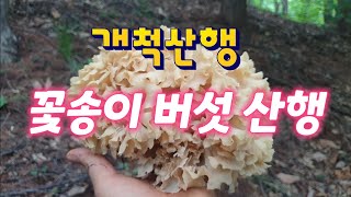 [고산식물 TV] 자연산 야생버섯을 찾아~~개척산행~^^