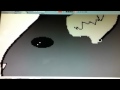 Lady gaga disco stick hamster