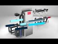 ACTIVE Mover - The Linear Motor Transfer System in Components