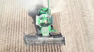 Steinert Farms 2019 Soybeans