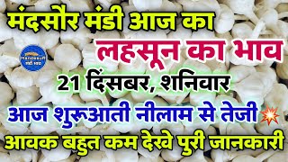 मंदसौर मंडी आज का लहसून का भाव 21 दिसंबर 2024 | Lahsun ka bhav | garlic rate | #mandsaur_mandi_bhav