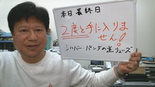 【本日、最終日！】悩むなら手に入れてください！