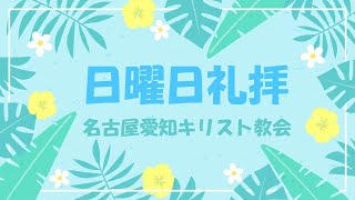 「説教と聖礼典」ルカによる福音書24:14－32 22年9月11日礼拝