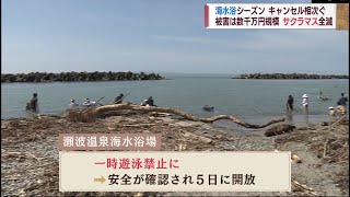 【大雨の爪痕】ピーク迎える海水浴・観光にダメージ　キャンセル相次ぐ　伝統の産業にも影響が　スーパーＪにいがた8月8日OA