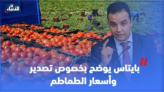 بايتاس يوضح بخصوص تصدير وأسعار الطماطم