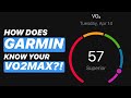 VO2MAX ON YOUR GARMIN: How do watches estimate VO2max?!