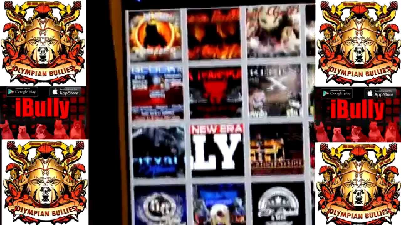 Ibully Walk Through 1 Youtube