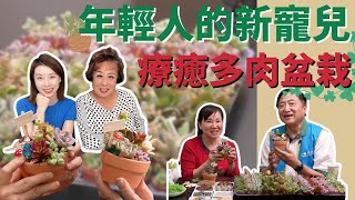 【園藝好療癒】呆萌可愛的療癒小物！做出屬於你的多肉植物｜愛莉聊天室特別企劃 #老帥哥的花花世界 #愛莉聊天室 #華興保險 #莊敬高職 #多肉植物 #手工植栽 #plants #terrarium