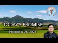 Today's Promise | November 26, 2024