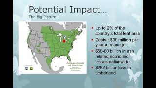 Update on Emerald Ash Borer (EAB) Biocontrol