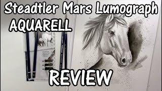 ART SUPPLIES REVIEW: painting a horse with Staedtler Mars Lumograph Aquarell water soluble pencils