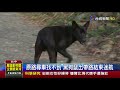 8分鐘開8hr車卡墓園靈犬破魔神仔迷咒