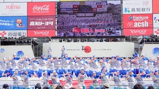 [4K] 舞龍人　高知よさこい祭り 2019 全国大会