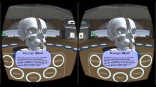 VIVED Anatomy Google Cardboard VR Example