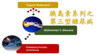 題目:胰島素系列之第三型糖尿病(國語)