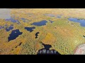 bog in the kemeri national park latvia