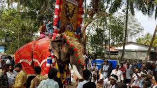 pokkulangara pooram youvadhara