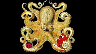 Shellcode for FreeBSD and Raspberry Pi OS