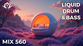 Liquid Drum and Bass Mix 560