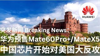 野猫论政 1000：突发新闻 - 华为预售Mate 60 Pro+/Mate X5，中国芯片对美国开始大反攻