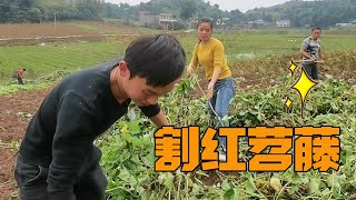 Meizi helps her uncle and aunt when she arrives at Haiwa’s house. It’s so likable