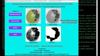 Walnut Disease Detection Using Convolutional Neural Network (CNN) || Python Project with Source Code
