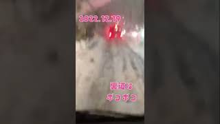 2022年12月【新潟で記録的大雪】新潟市で43センチ積雪