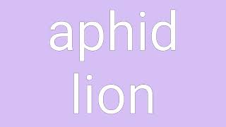 Aphid Lion Definition \u0026 Meaning