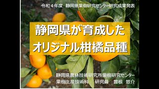 令和４年度静岡県果樹研究センター研究成果発表　静岡県が育成したオリジナル柑橘品種