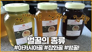 아침햇살농가 벌꿀의 종류 #아카시아꿀 #잡화꿀 #밤꿀! 차이점 확인해보자!