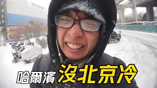 【兩岸】不會吧! 零下16度的哈爾濱竟然沒有北京冷?│自2019年在北京創業開水果外送店後│早已習慣在氣溫零下的北京送餐凍得瑟瑟發抖的日子│夜遊中央大街│2024兩岸青年冰雪節Day1下【EP891】