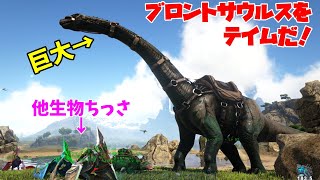 【ARK ロストアイランド】#13 陸上最大級のブロントサウルスをテイムだ【アーク Lost Island】