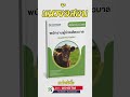 แนวข้อสอบพนักงานผู้ช่วยสัตวบาล กองผลิตภัณฑ์ปศุสัตว์ พร้อมเฉลยข้อสอบ 2567