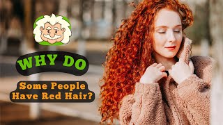 Why Do Some People Have Red Hair? The Genetics Behind This Rare Hair Color