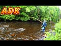 Adirondack Backcountry Fly Fishing For Brook Trout | Ft. Hardman Fishing Adventures