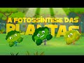 🌱 A FOTOSSÍNTESE DAS PLANTAS 👩‍🏫 l Aprenda com Luna - O Show da Luna!