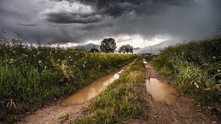 Wetter heute: So ziehen Sturm, Gewitter und Starkregen