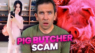 Pig Butchering Scam Exposed!
