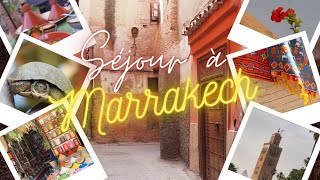 Visite guidée de Marrakech ♡