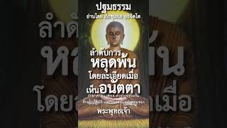 ลำดับการหลุดพ้นโดยละเอียดเมื่อเห็นอนัตตา #พุทธวจน #ปฐมธรรม #ภิกขุเอเอ